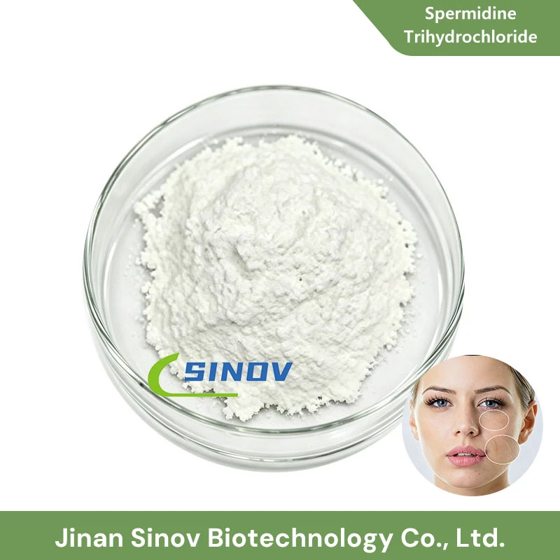 Surovi spermidin trihidroklorid v prahu
